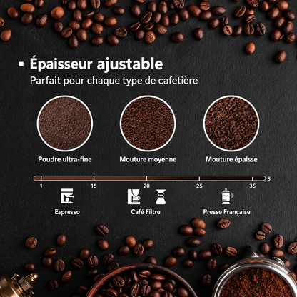 Le Broyeur Haute Précision Inox 500W – Édition Prestige 2026 (Certification Suisse)